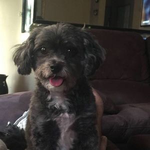 Meet your Posher, Shelly